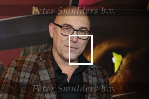 Amsterdam 10 december 2022
Premiere de gelaarsde kat in Pathe Arena .
Loek Peters met zijn kinderen