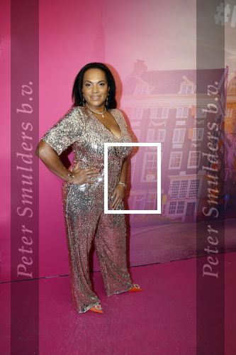 Amsterdam 22 november 2022
Presentatie Real Housewifes of Amsterdam in Hotel Krasnapolsky  van Videoland. Magali Gorre