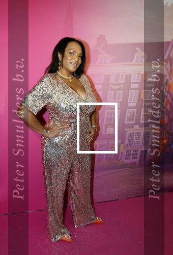 Amsterdam 22 november 2022
Presentatie Real Housewifes of Amsterdam in Hotel Krasnapolsky  van Videoland. Magali Gorre