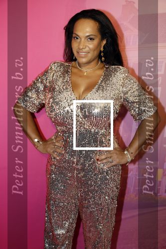 Amsterdam 22 november 2022
Presentatie Real Housewifes of Amsterdam in Hotel Krasnapolsky  van Videoland. Magali Gorre