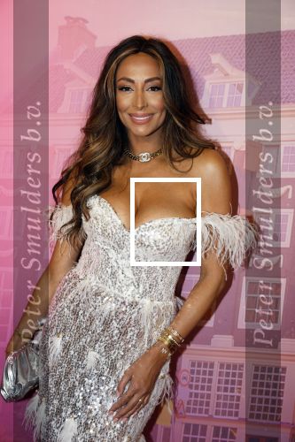 Amsterdam 22 november 2022
Presentatie Real Housewifes of Amsterdam in Hotel Krasnapolsky  van Videoland. Maria Tailor