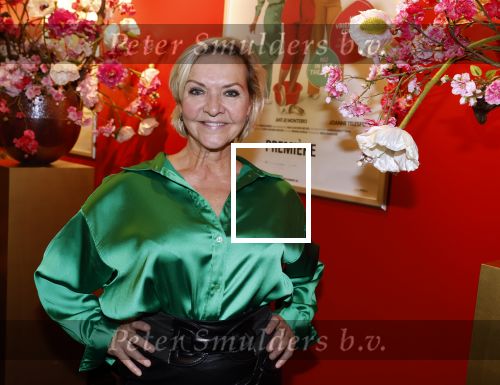 Hoofddorp 21 november 2022
Premiere Girls on fire in schouwburg Hoofddorp.
Mariska v Kolck