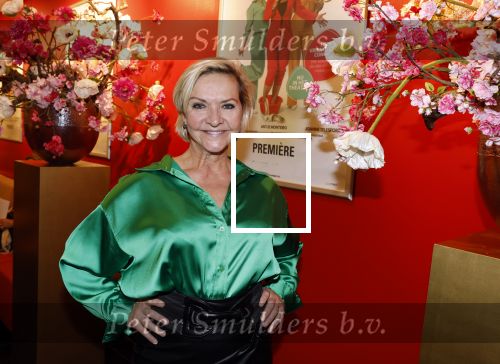 Hoofddorp 21 november 2022
Premiere Girls on fire in schouwburg Hoofddorp.
Mariska v Kolck