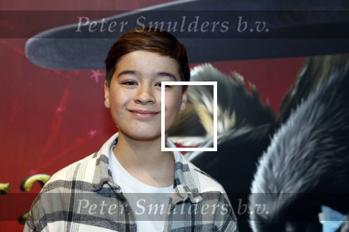 Amsterdam 10 december 2022
Premiere de gelaarsde kat in Pathe Arena . Mathijs Stoop