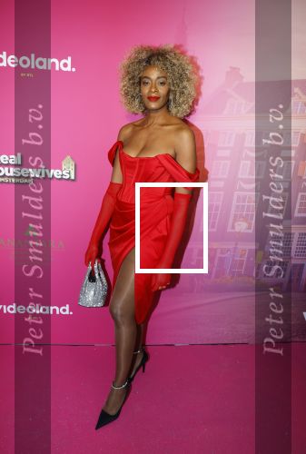 Amsterdam 22 november 2022
Presentatie Real Housewifes of Amsterdam in Hotel Krasnapolsky  van Videoland.  Maureen Powel