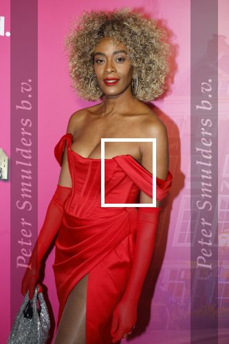 Amsterdam 22 november 2022
Presentatie Real Housewifes of Amsterdam in Hotel Krasnapolsky  van Videoland.  Maureen Powel