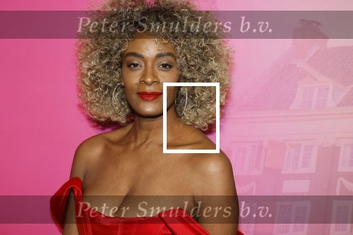 Amsterdam 22 november 2022
Presentatie Real Housewifes of Amsterdam in Hotel Krasnapolsky  van Videoland.  Maureen Powel