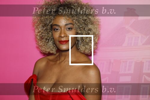 Amsterdam 22 november 2022
Presentatie Real Housewifes of Amsterdam in Hotel Krasnapolsky  van Videoland.  Maureen Powel