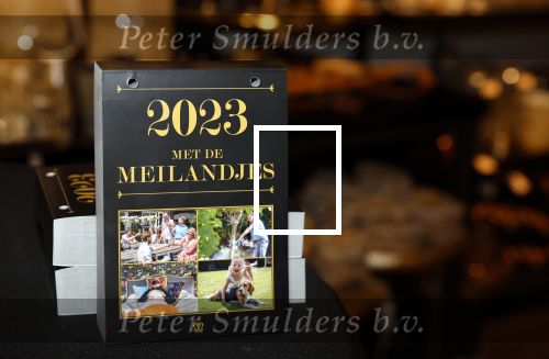 Noordwijk 9 december 2022
Presentatie nieuwe scheurkalendar van de familie Meiland. Aanwezig Martien Meiland Erica Meiland en Montana Meiland . Ook aanwezig Jan Dijkgraaf en Timon Moll ( regisseur van de Meilandjes). Presentatie is in de woonwinkel van Montana.