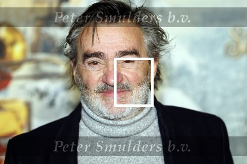 Amsterdam 11 december 2022
Premiere Hotel Sinestra in Pathe Noord .
Michiel Kerbosch