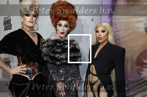 Hilversum 19 december 2022
The roast van Famke Louise in studio 21.
Miss Envy Peru Patty Pampam Skyla Versai en Yildiz Siskens
