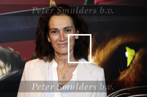 Amsterdam 10 december 2022
Premiere de gelaarsde kat in Pathe Arena .
Monic Hendrickx