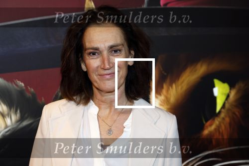 Amsterdam 10 december 2022
Premiere de gelaarsde kat in Pathe Arena .
Monic Hendrickx