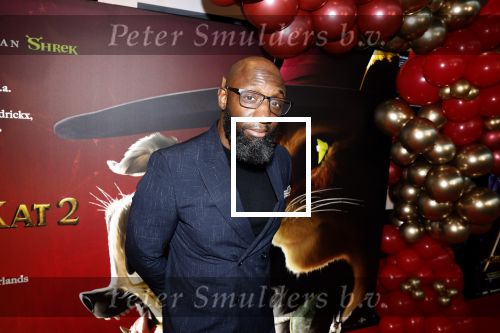 Amsterdam 10 december 2022
Premiere de gelaarsde kat in Pathe Arena .
Murth Mossel