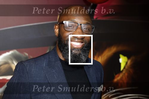 Amsterdam 10 december 2022
Premiere de gelaarsde kat in Pathe Arena .
Murth Mossel