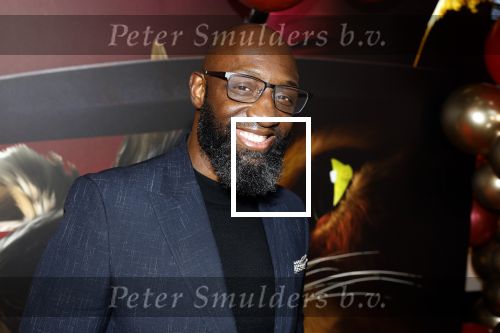 Amsterdam 10 december 2022
Premiere de gelaarsde kat in Pathe Arena .
Murth Mossel