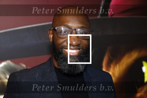 Amsterdam 10 december 2022
Premiere de gelaarsde kat in Pathe Arena .
Murth Mossel