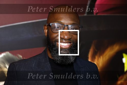 Amsterdam 10 december 2022
Premiere de gelaarsde kat in Pathe Arena .
Murth Mossel