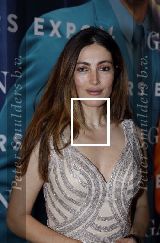 Amsterdam 10 december 2022
VIP dag Masters expo in de RAI.
Nadia Palesa