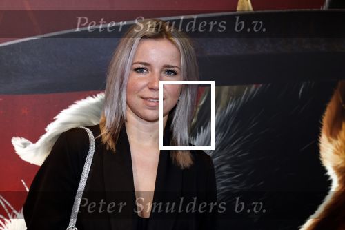 Amsterdam 10 december 2022
Premiere de gelaarsde kat in Pathe Arena . Noortje van Burik