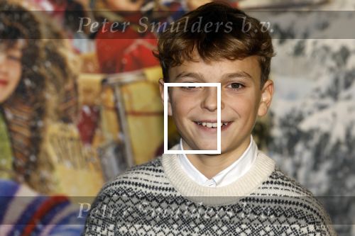 Amsterdam 11 december 2022
Premiere Hotel Sinestra in Pathe Noord .
Otto Naessens