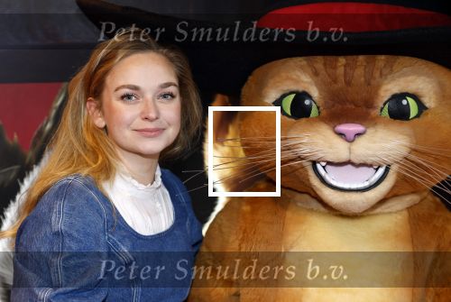 Amsterdam 10 december 2022
Premiere de gelaarsde kat in Pathe Arena .
Pip Pellens