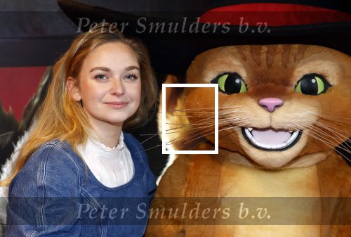 Amsterdam 10 december 2022
Premiere de gelaarsde kat in Pathe Arena .
Pip Pellens