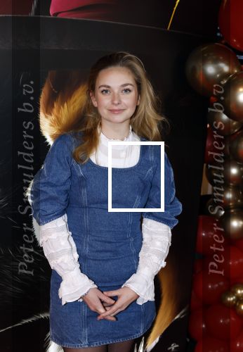 Amsterdam 10 december 2022
Premiere de gelaarsde kat in Pathe Arena .
Pip Pellens
