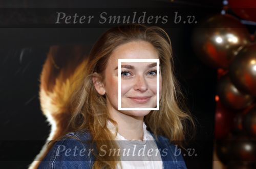 Amsterdam 10 december 2022
Premiere de gelaarsde kat in Pathe Arena .
Pip Pellens