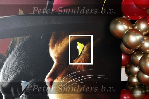 Amsterdam 10 december 2022
Premiere de gelaarsde kat in Pathe Arena .