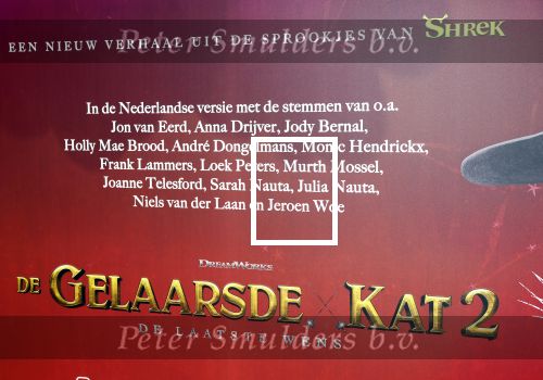 Amsterdam 10 december 2022
Premiere de gelaarsde kat in Pathe Arena .