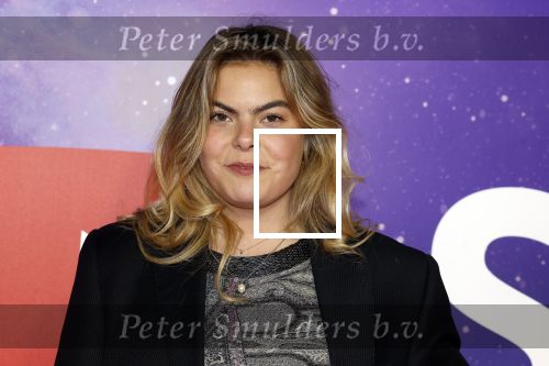 Amsterdam 13 december 2022
YouTube event in Tuschinski.
Prinses Eloise met ....