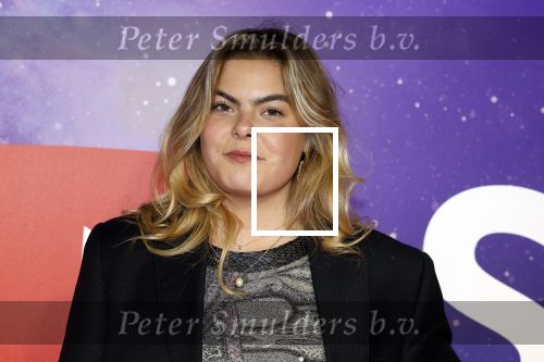 Amsterdam 13 december 2022
YouTube event in Tuschinski.
Prinses Eloise met ....