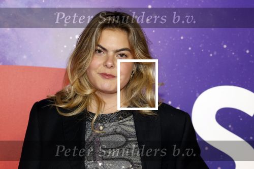 Amsterdam 13 december 2022
YouTube event in Tuschinski.
Prinses Eloise met ....