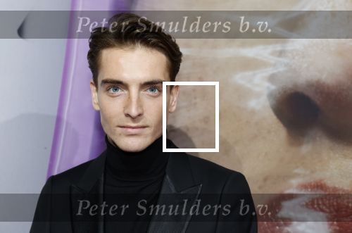 Hilversum 19 december 2022
The roast van Famke Louise in studio 21
Robbert Rodenburg