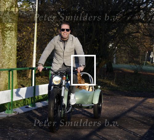 Amsterdam 12 december 2022
Robert Doornbos met zijn hond Simba op de electrische fiets van het merk Heritage Bike