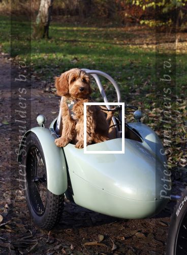 Amsterdam 12 december 2022
Robert Doornbos met zijn hond Simba op de electrische fiets van het merk Heritage Bike