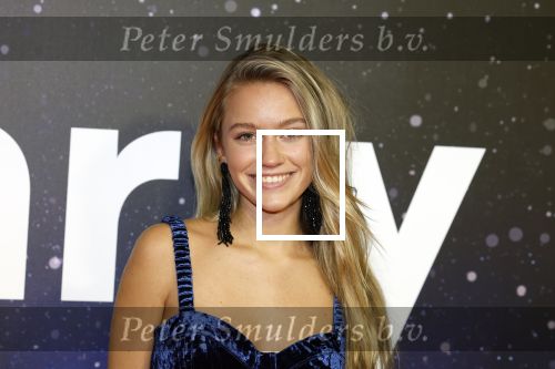 Amsterdam 13 december 2022
YouTube event in Tuschinski. Sterre Koning