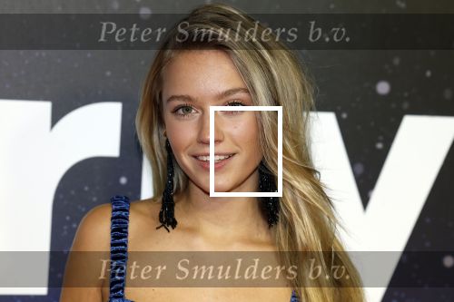 Amsterdam 13 december 2022
YouTube event in Tuschinski. Sterre Koning