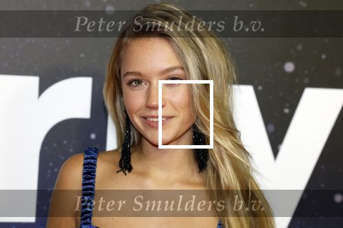 Amsterdam 13 december 2022
YouTube event in Tuschinski. Sterre Koning