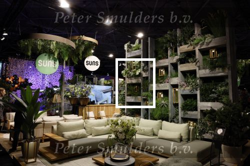 Amsterdam 8 december 2022
Masters Expo in de RAI. stand van Suns