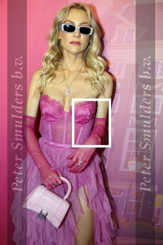 Amsterdam 22 november 2022
Presentatie Real Housewifes of Amsterdam in Hotel Krasnapolsky  van Videoland. Susanna Klibansky