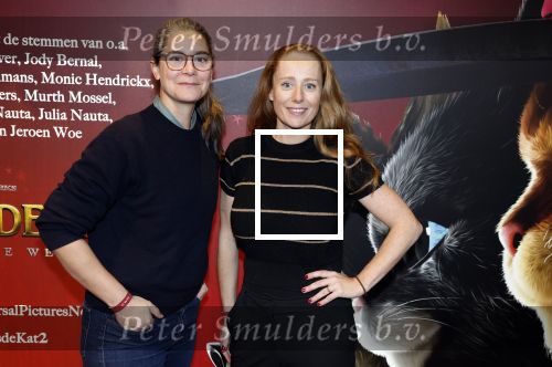 Amsterdam 10 december 2022
Premiere de gelaarsde kat in Pathe Arena .
Sytske v d Ster