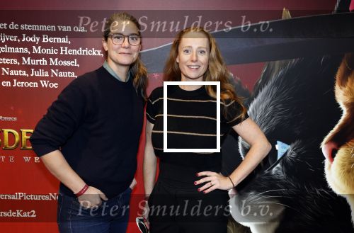 Amsterdam 10 december 2022
Premiere de gelaarsde kat in Pathe Arena .
Sytske v d Ster