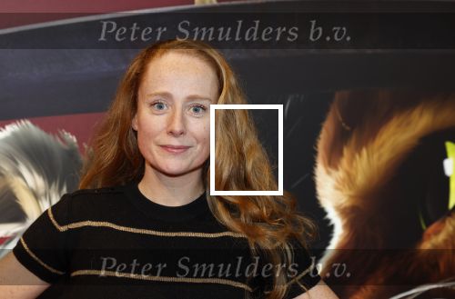 Amsterdam 10 december 2022
Premiere de gelaarsde kat in Pathe Arena .
Sytske v d Ster
