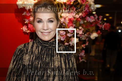 Hoofddorp 21 november 2022
Premiere Girls on fire in schouwburg Hoofddorp.
Tanja Jess kwam met een vriendin
