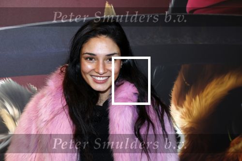 Amsterdam 10 december 2022
Premiere de gelaarsde kat in Pathe Arena .
Tatjana Maul