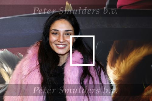 Amsterdam 10 december 2022
Premiere de gelaarsde kat in Pathe Arena .
Tatjana Maul
