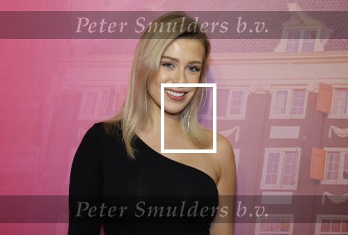 Amsterdam 22 november 2022
Presentatie Real Housewifes of Amsterdam in Hotel Krasnapolsky  van Videoland. Victoria Vermeer