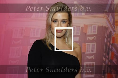 Amsterdam 22 november 2022
Presentatie Real Housewifes of Amsterdam in Hotel Krasnapolsky  van Videoland. Victoria Vermeer